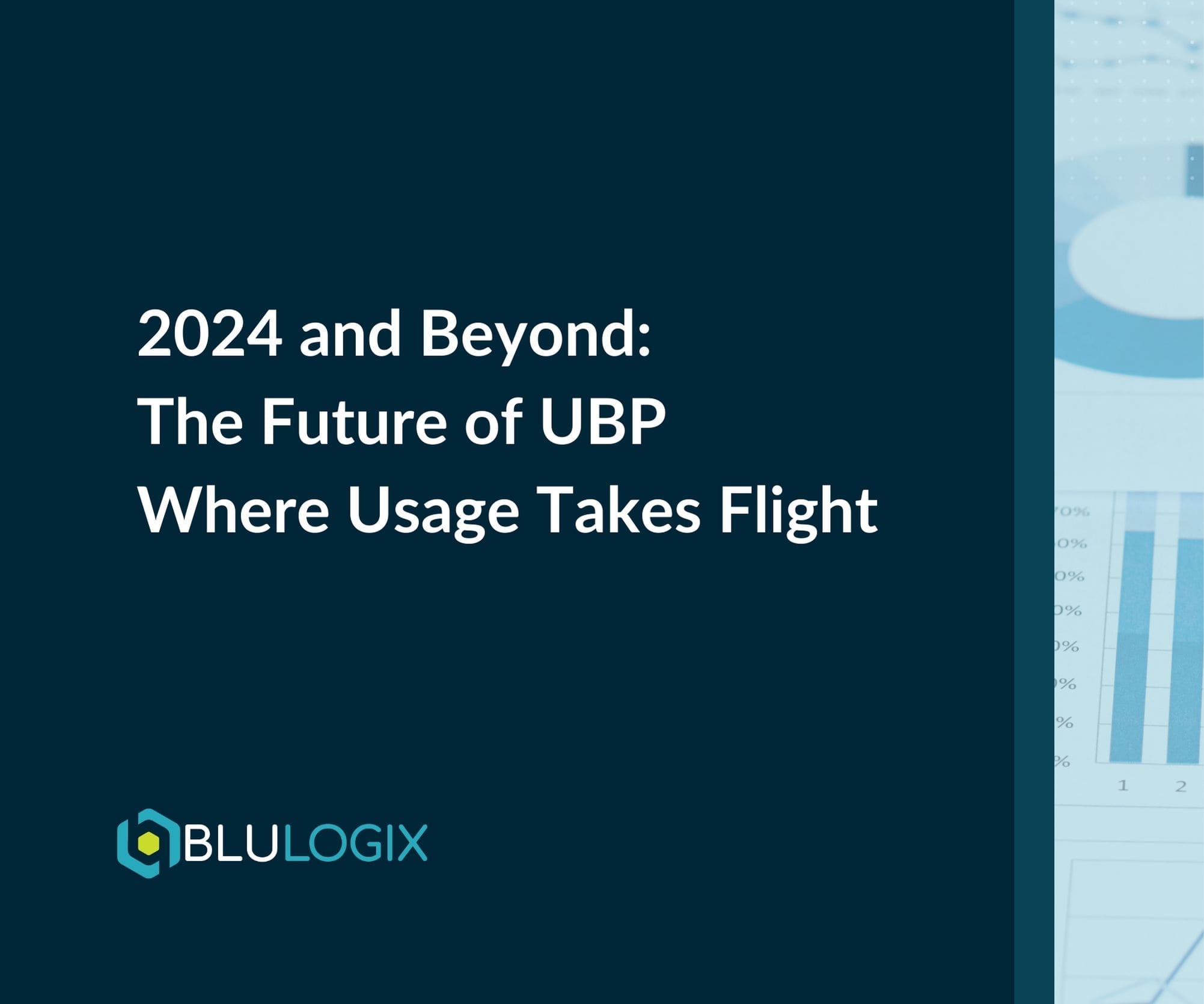 2024 and Beyond The Future of UBP Where Usage Takes Flight