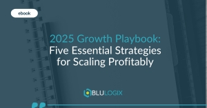 2025 Growth Playbook Five Essential Strategies for Scaling Profitably (1)