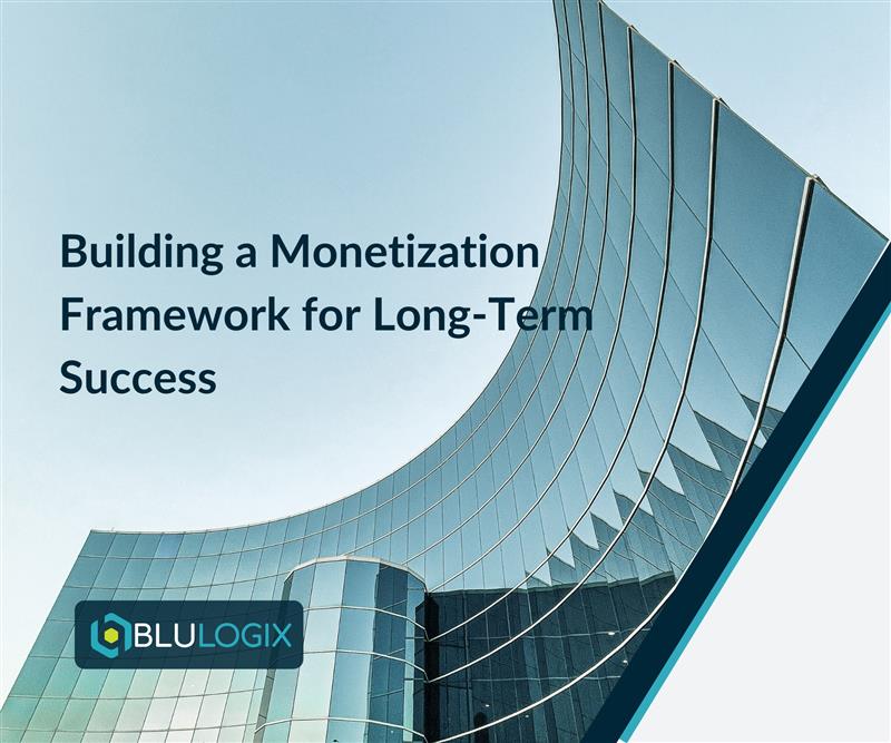 Building a Monetization Framework for Long Term Success