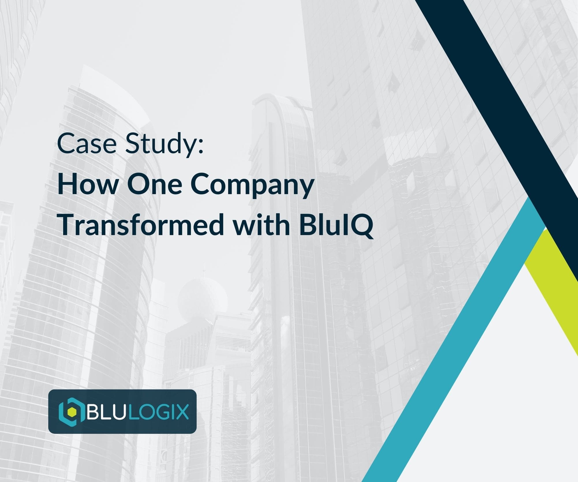 Case Study How One Company Transformed with BluIQ