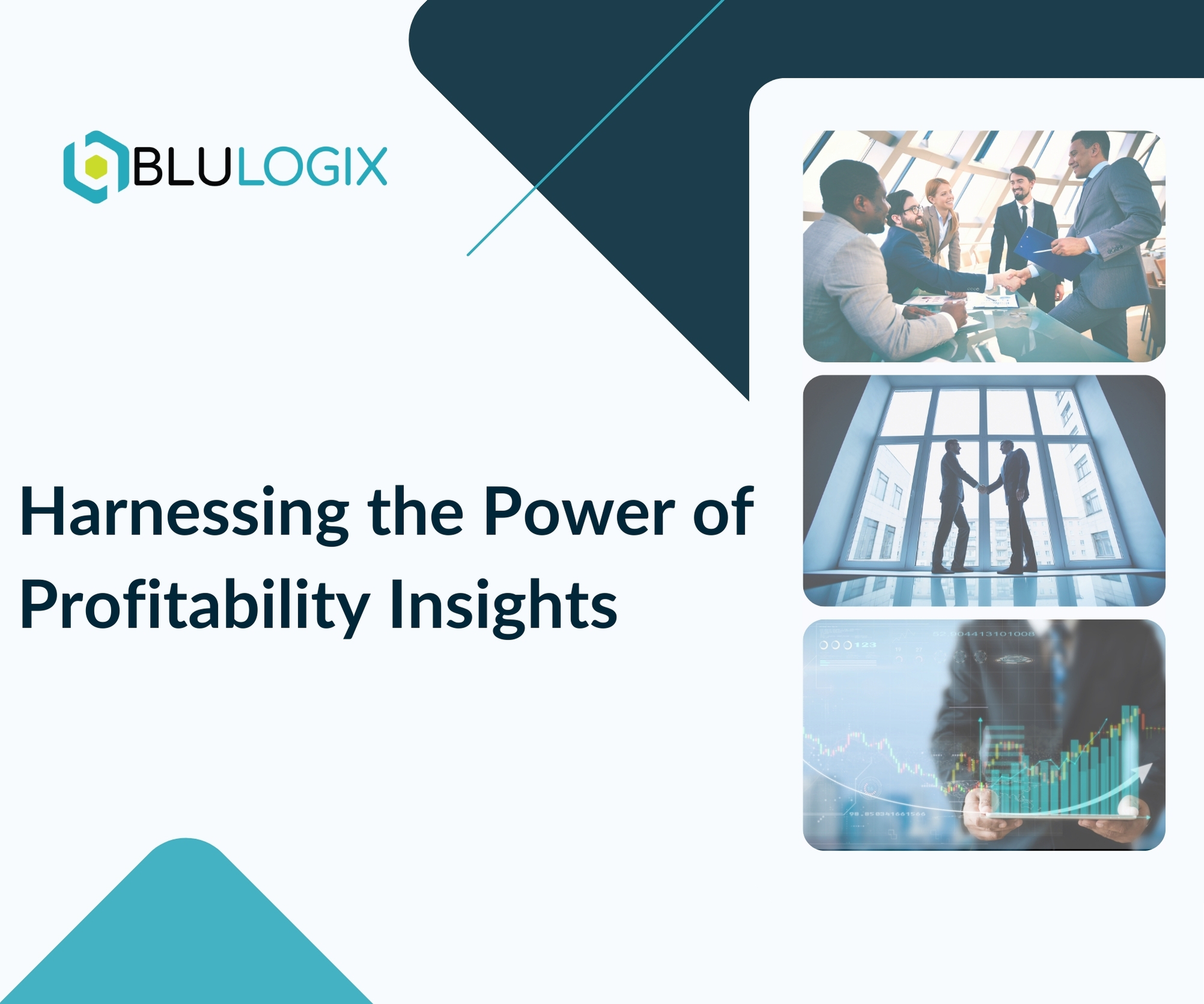 Harnessing the Power of Profitability Insights