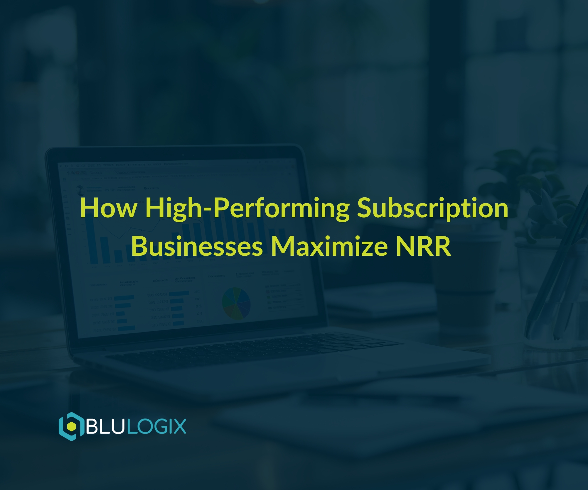 How High Performing Subscription Businesses Maximize NRR