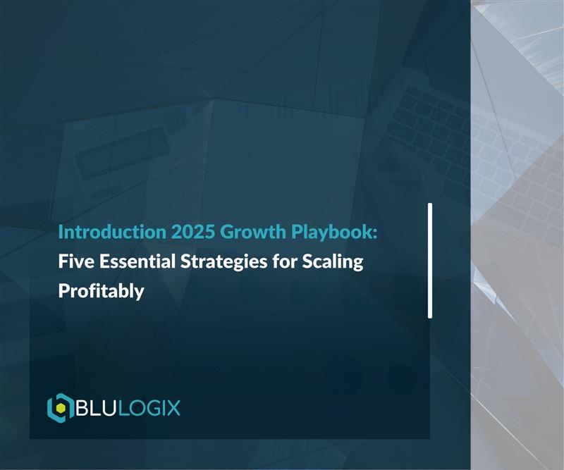 Introduction 2025 Growth Playbook Five Essential Strategies for Scaling Profitably