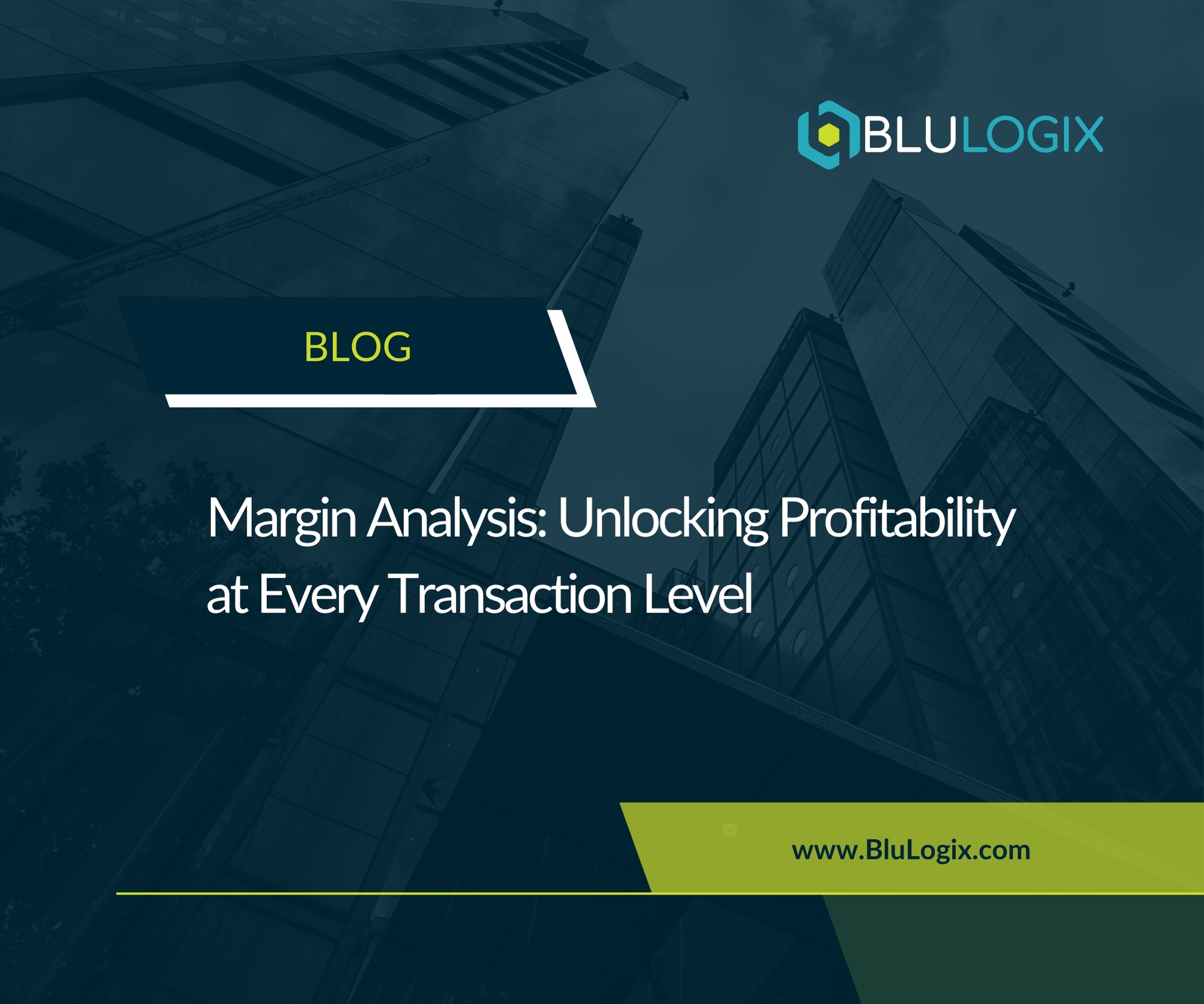 Margin Analysis Unlocking Profitability at Every Transaction Level