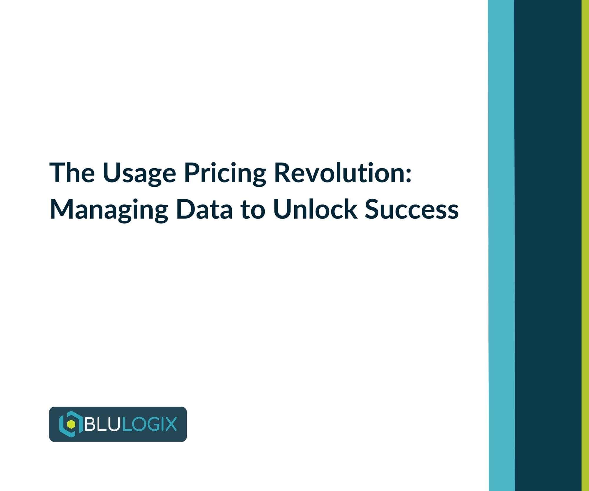 The Usage Pricing Revolution Managing Data to Unlock Success